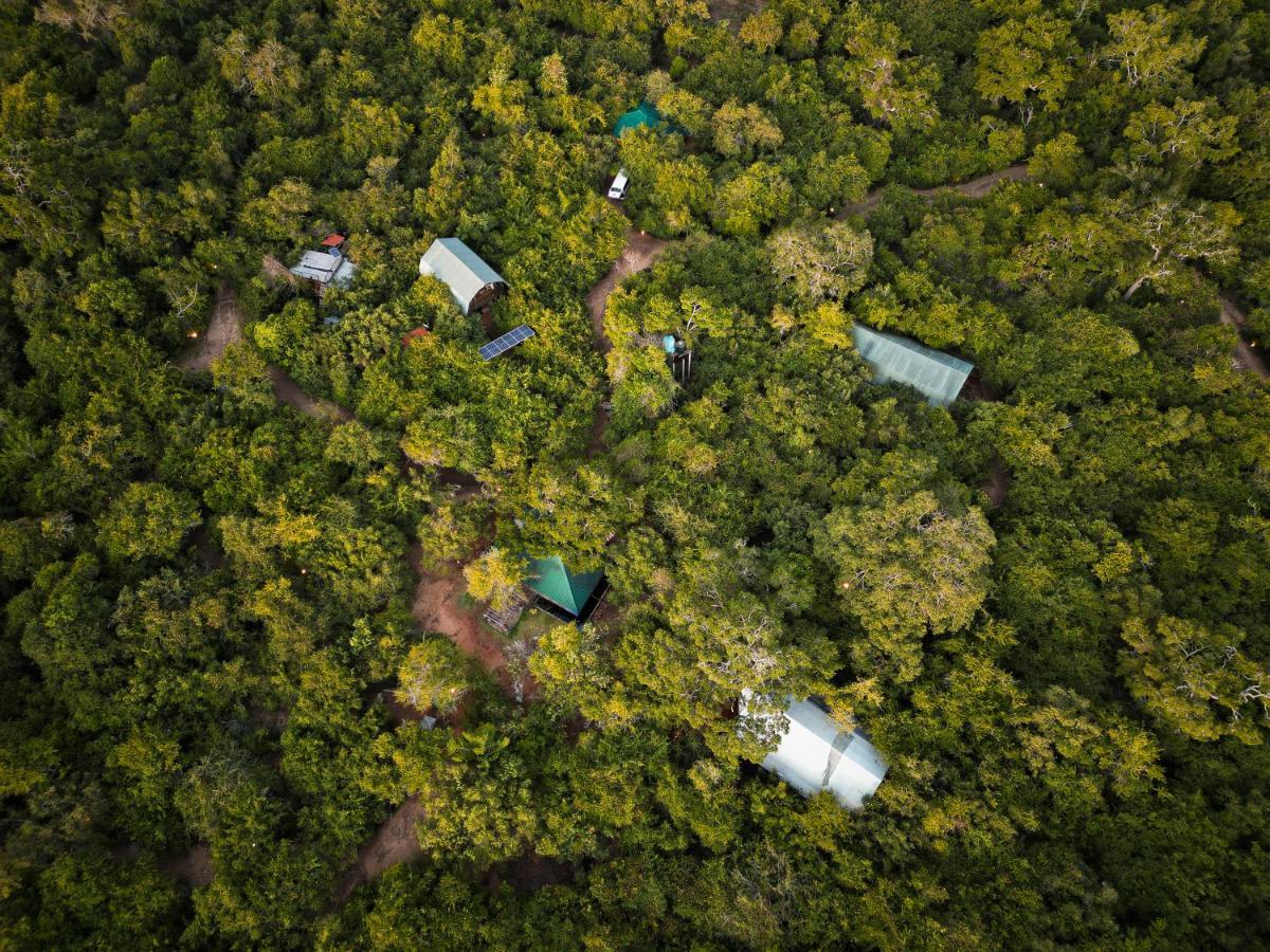 Hotel Leopard Reach Yala By Seven Angels Tissamaharama Exterior foto